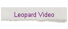 Leopard Video