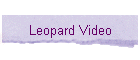 Leopard Video